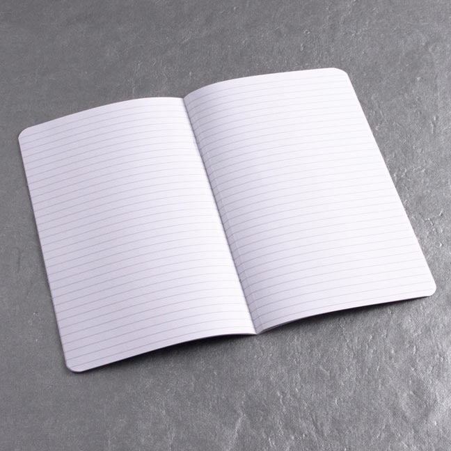 Front cover_ecosystem Pocket Insert Ruled Pages