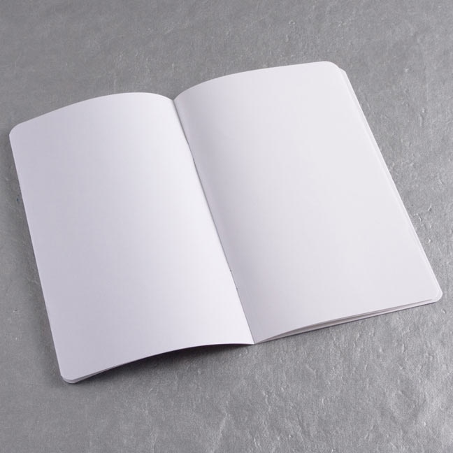 Front cover_ecosystem Pocket Insert Blank Pages