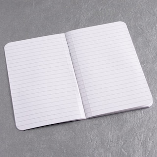 Front cover_ecosystem Pocket Insert Ruled Pages