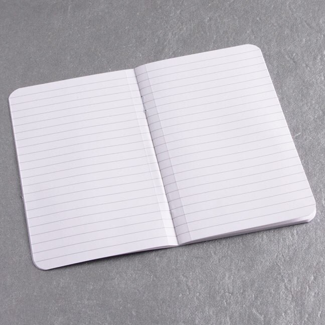 Front cover_ecosystem Pocket Insert Ruled Pages