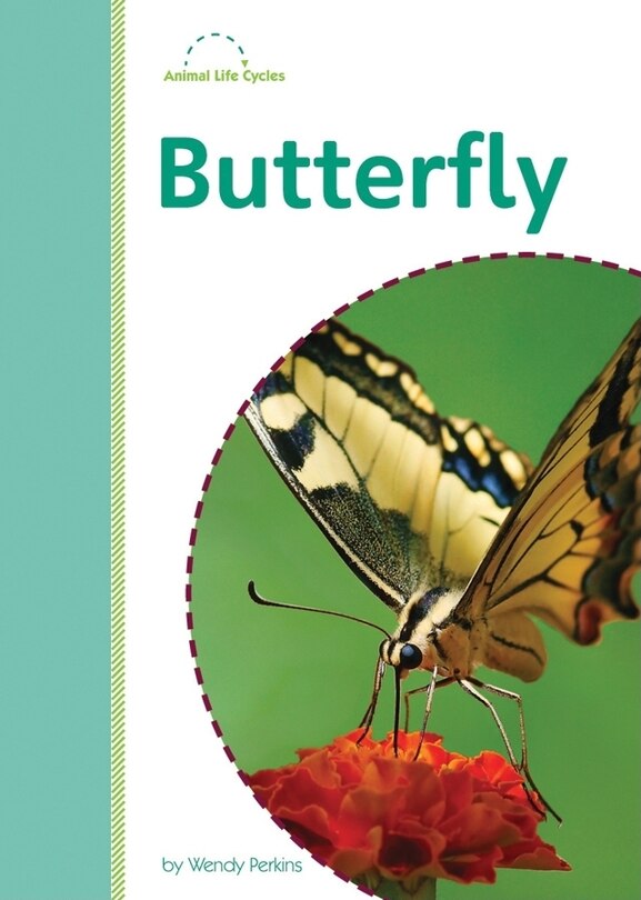Front cover_Butterfly