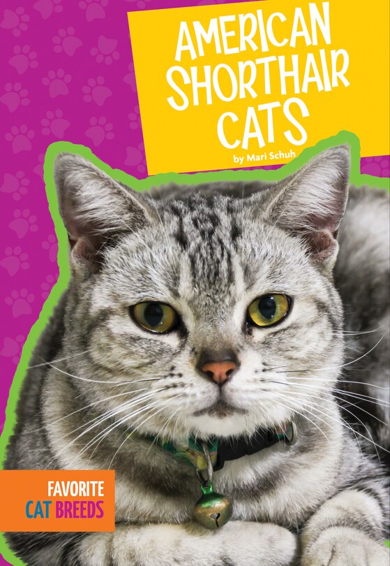 Couverture_American Shorthair Cats