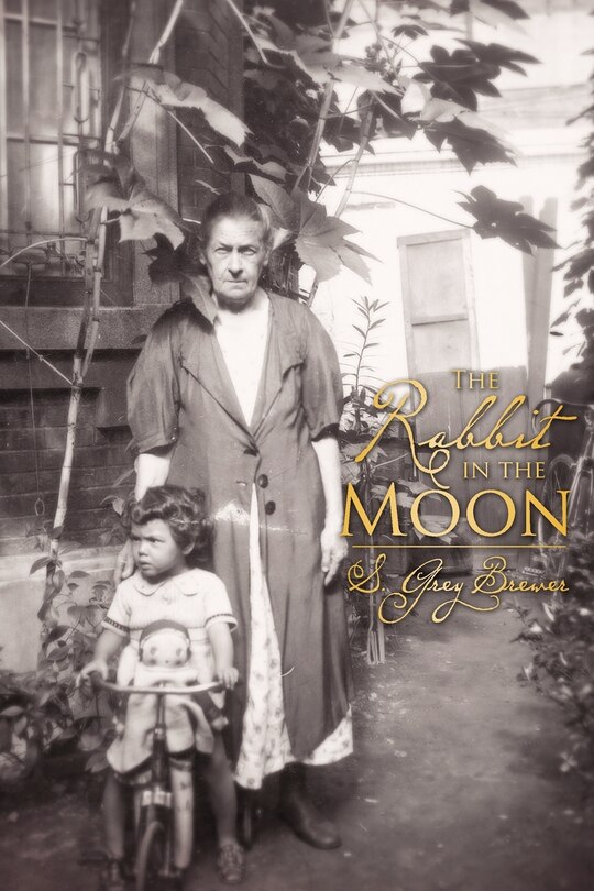 Front cover_The Rabbit in the Moon