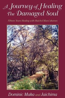Couverture_A Journey Of Healing The Damaged Soul