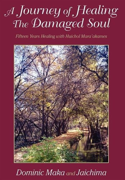Couverture_A Journey Of Healing The Damaged Soul