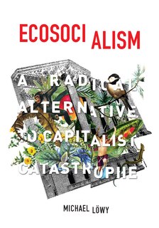 Front cover_Ecosocialism