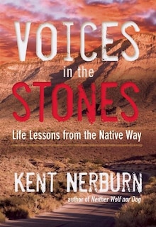 Front cover_Voices In The Stones