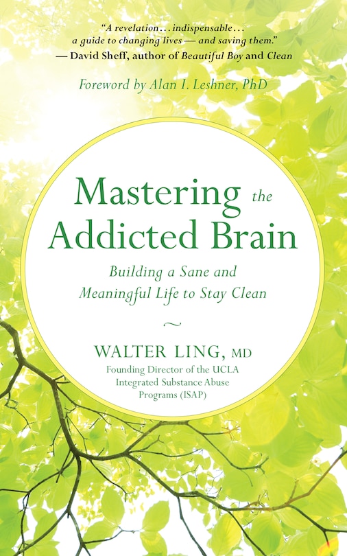 Front cover_Mastering The Addicted Brain