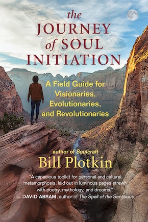 The Journey Of Soul Initiation: A Field Guide For Visionaries, Evolutionaries, And Revolutionaries