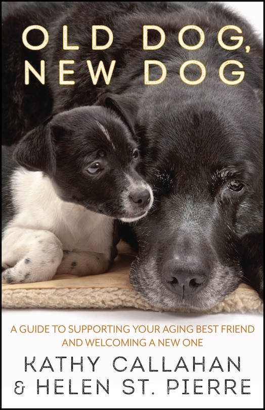 Front cover_Old Dog, New Dog