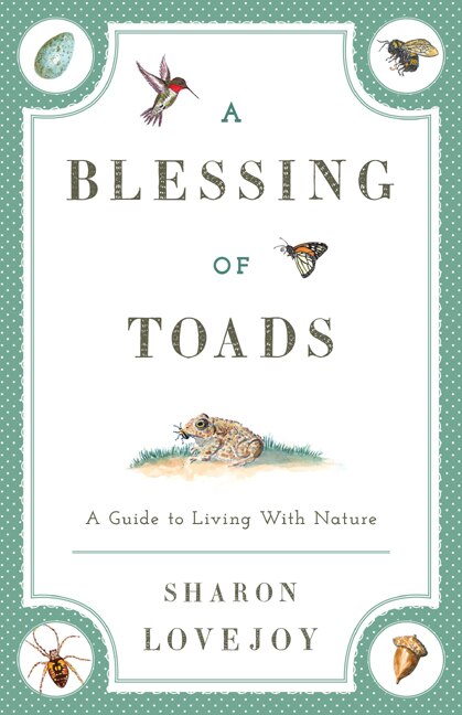 Couverture_A Blessing of Toads