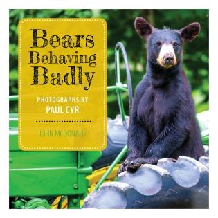 Front cover_Bears Behaving Badly