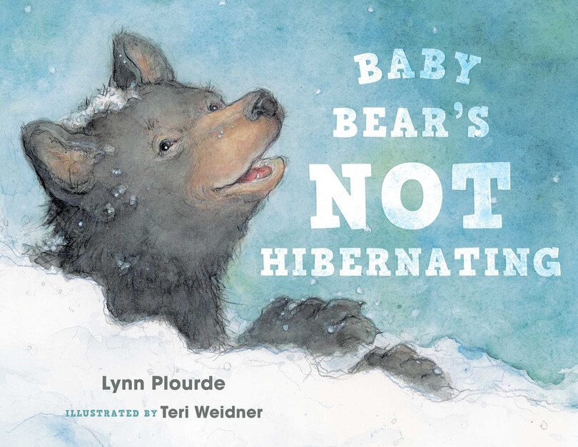 Couverture_Baby Bear's Not Hibernating