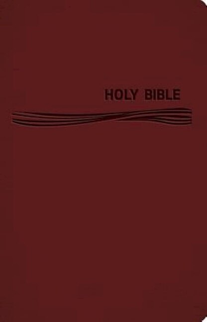 Couverture_CEB Deep Blue Kids Bible Classic Burgundy