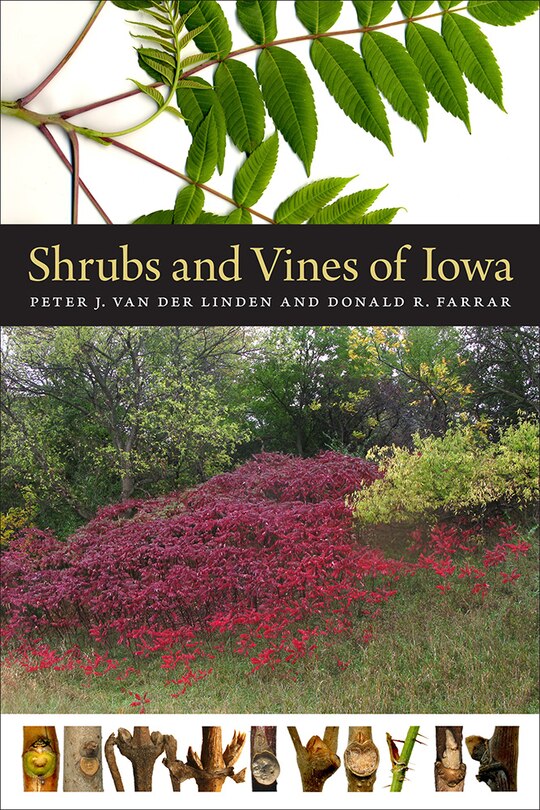 Couverture_Shrubs And Vines Of Iowa