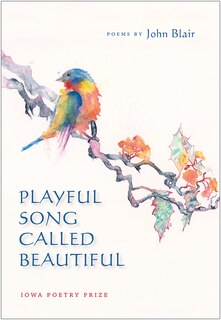 Front cover_Playful Song Called Beautiful