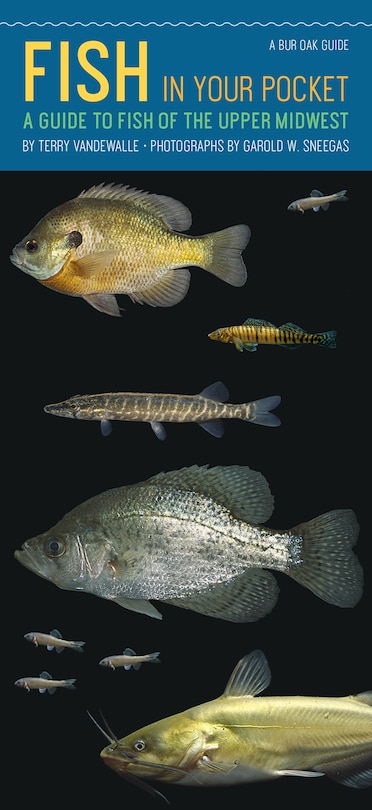 Couverture_Fish In Your Pocket
