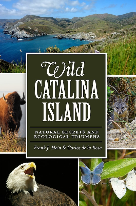 Front cover_Wild Catalina Island: