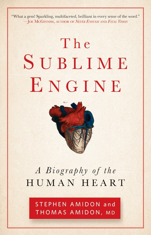 Couverture_The Sublime Engine