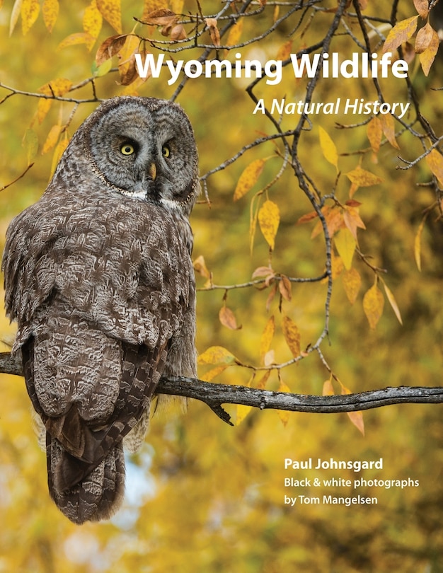 Front cover_Wyoming Wildlife