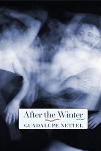 Front cover_After The Winter