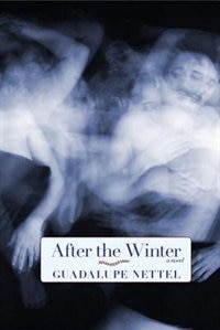 After The Winter: A Novel