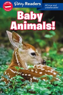 Couverture_Ripley Readers Level1 Baby Animals