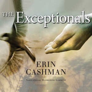 Couverture_The Exceptionals