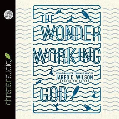 The Wonder-working God: Seeing The Glory Of Jesus In His Miracles