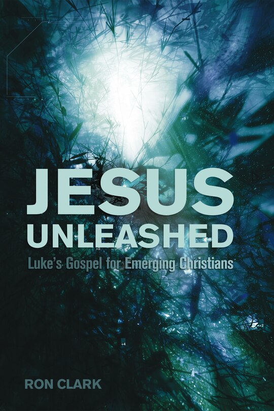 Couverture_Jesus Unleashed