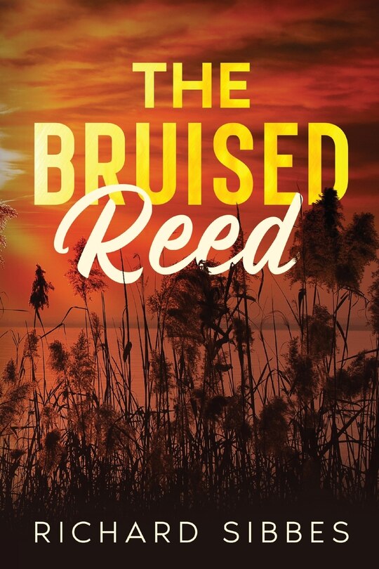 Couverture_The Bruised Reed