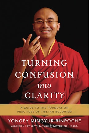 Turning Confusion Into Clarity: A Guide To The Foundation Practices Of Tibetan Buddhism