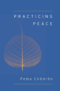 Couverture_Practicing Peace