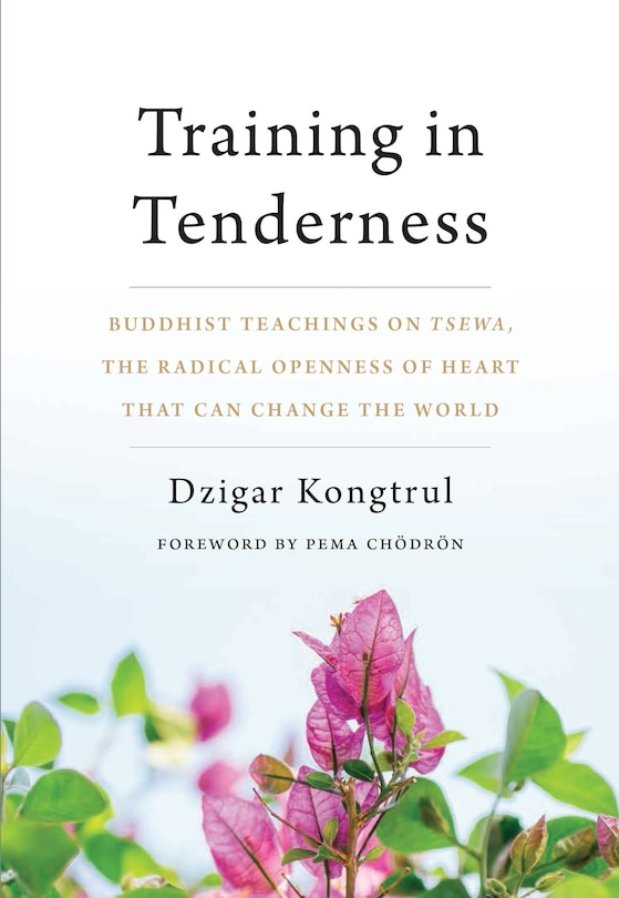 Front cover_Training In Tenderness