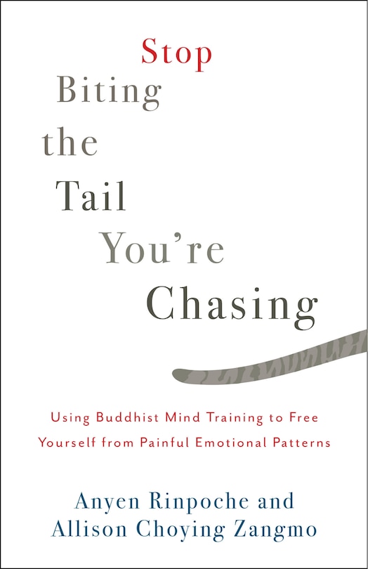 Front cover_Stop Biting The Tail You're Chasing