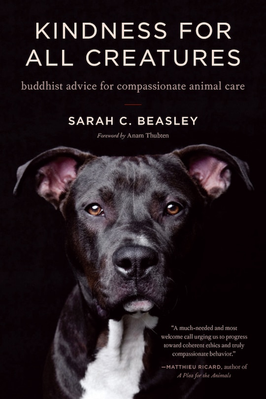 Front cover_Kindness For All Creatures