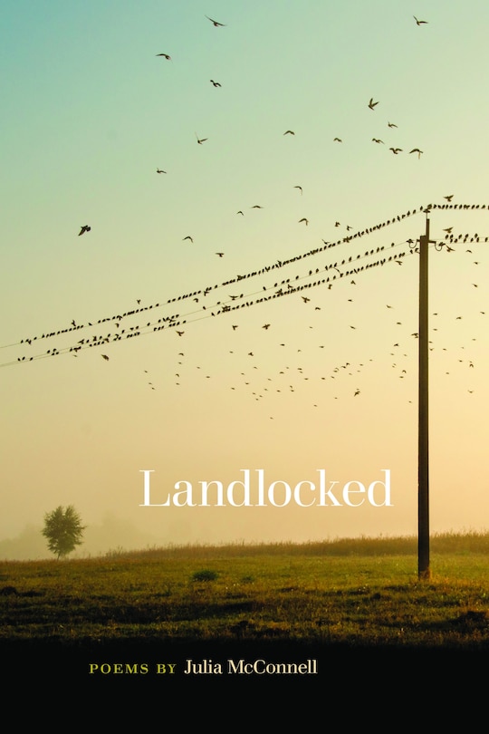 Couverture_Landlocked