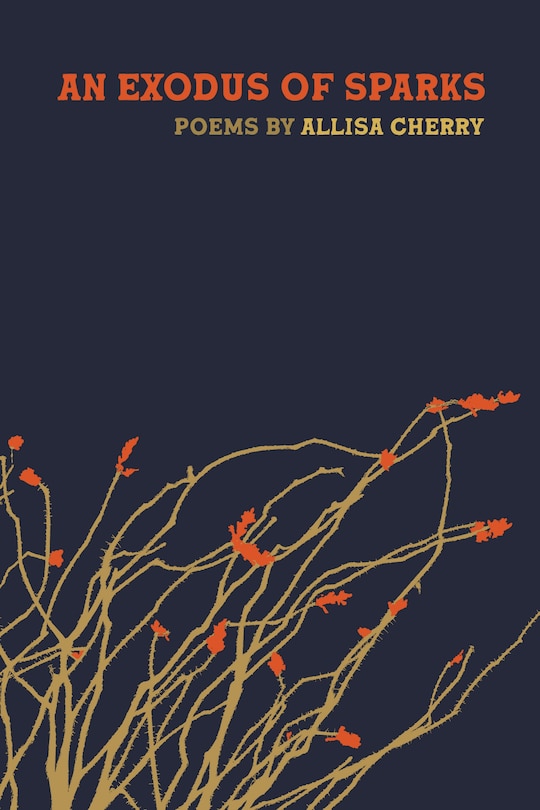 Front cover_An Exodus of Sparks