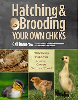 Front cover_Hatching & Brooding Your Own Chicks