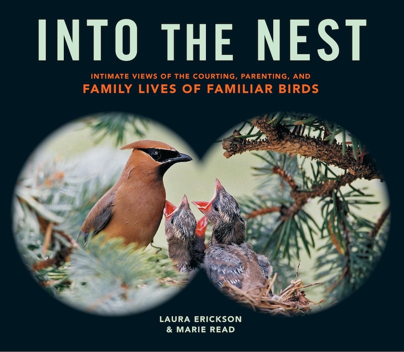 Front cover_Into the Nest