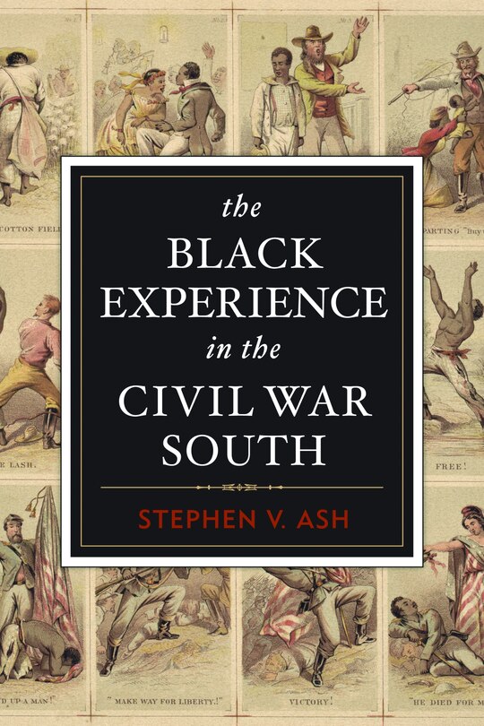 Front cover_The Black Experience in the Civil War South