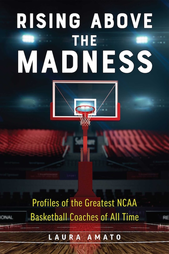 Couverture_Rising Above The Madness