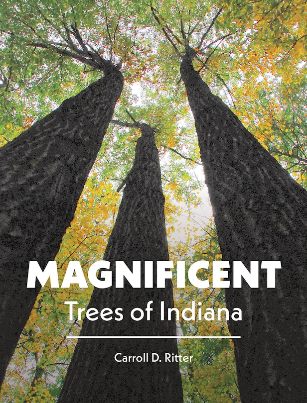 Front cover_Magnificent Trees Of Indiana