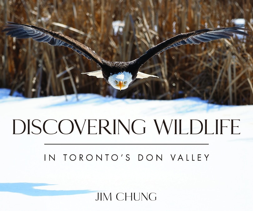 Couverture_Discovering Wildlife In Toronto's Don Valley