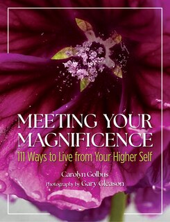 Couverture_Meeting Your Magnificence