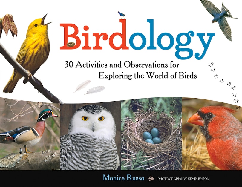 Front cover_Birdology