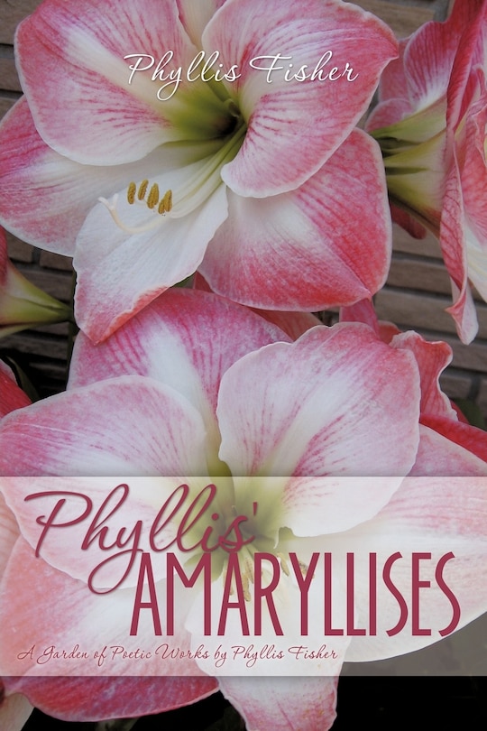 Front cover_Phyllis' Amaryllises
