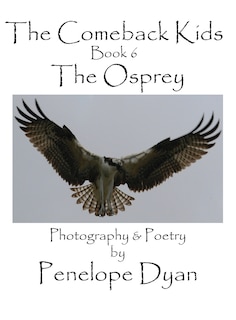 Front cover_The Comeback Kids, Book 6, The Osprey