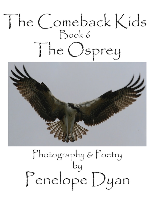 Front cover_The Comeback Kids, Book 6, The Osprey