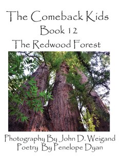 Couverture_The Comeback Kids, Book 12, the Redwood Forest